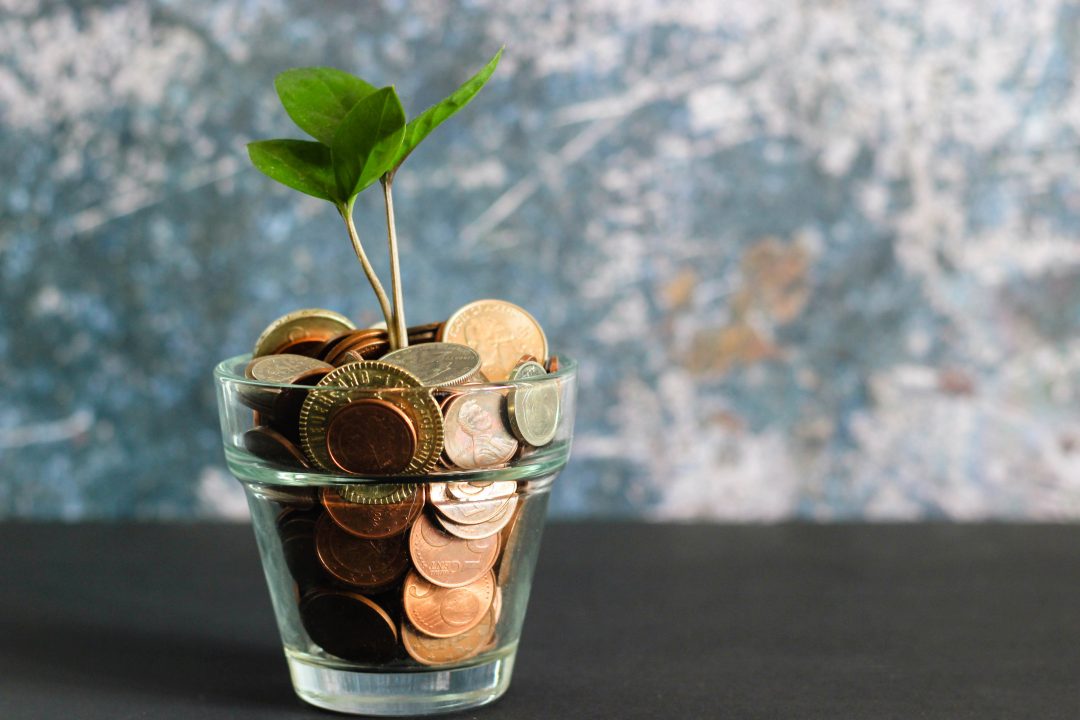A plant growing in a glass pot full of coins