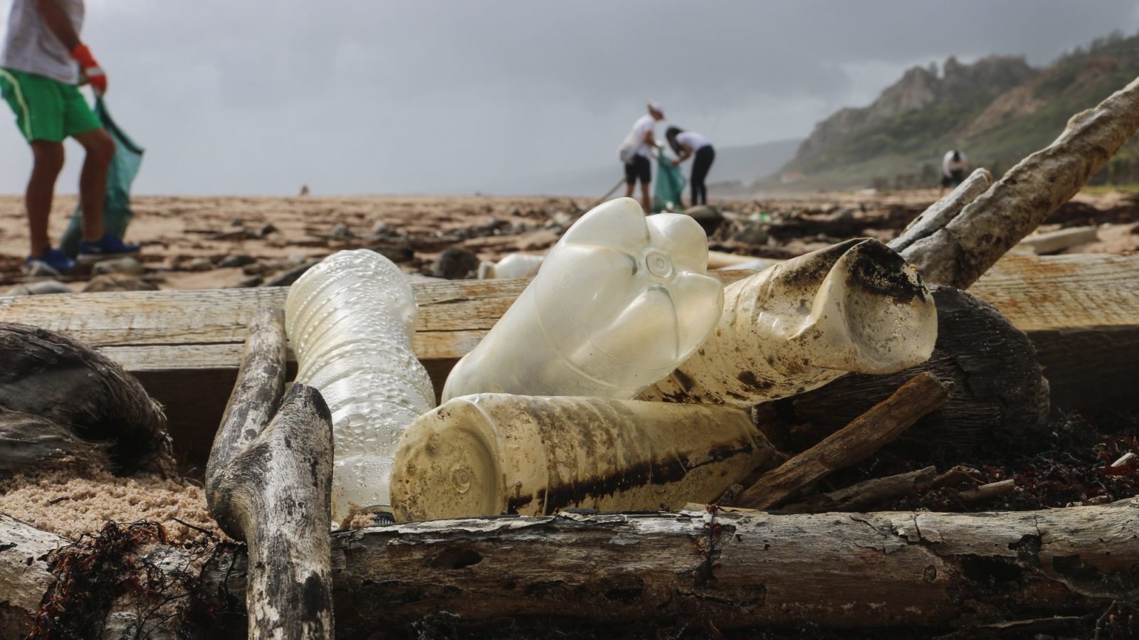 Old plastic washed up on a beach with volunteers collecting in the background