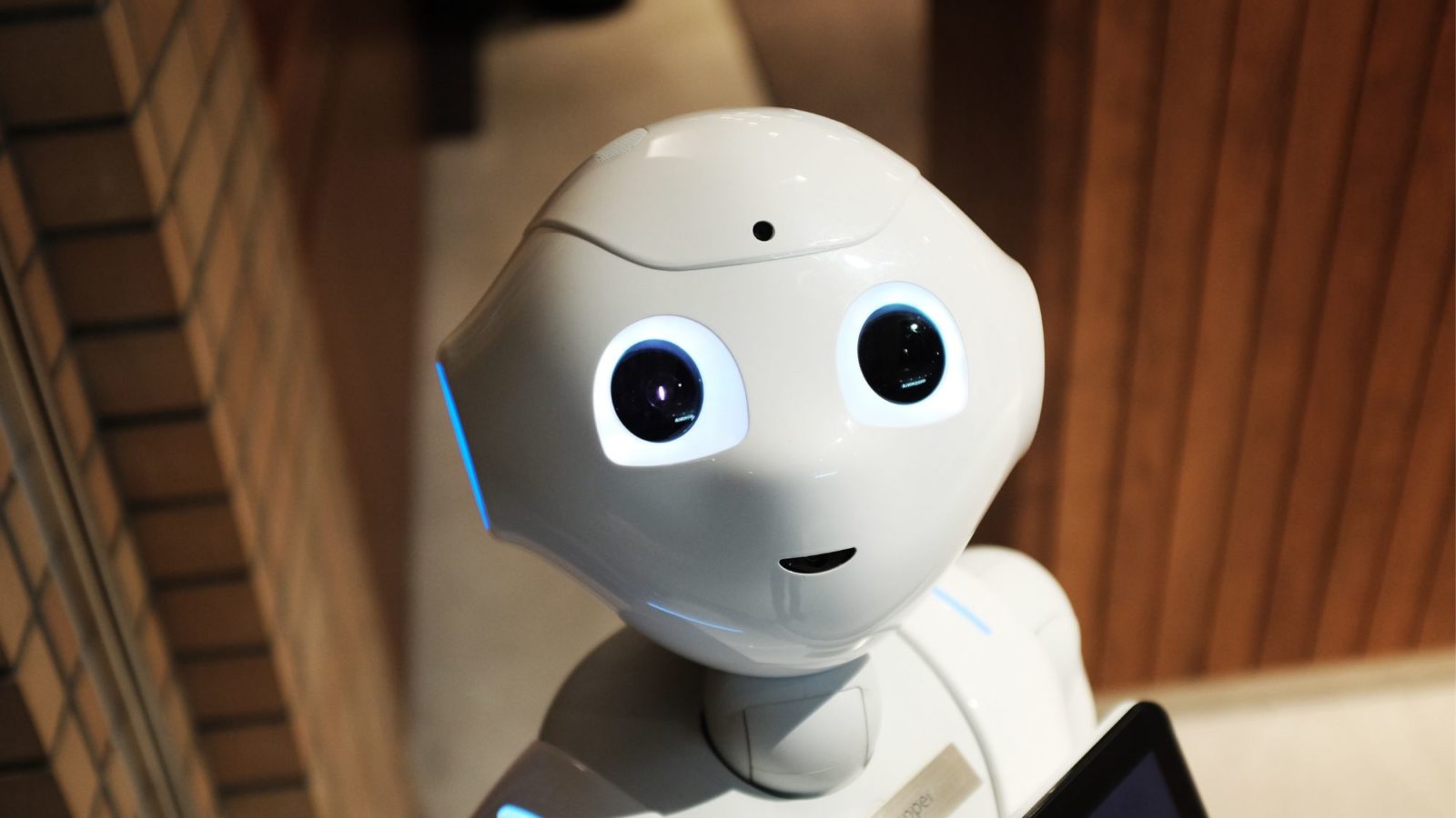A big eyed humanoid robot looks to camera - is it a service droid? - Explorations