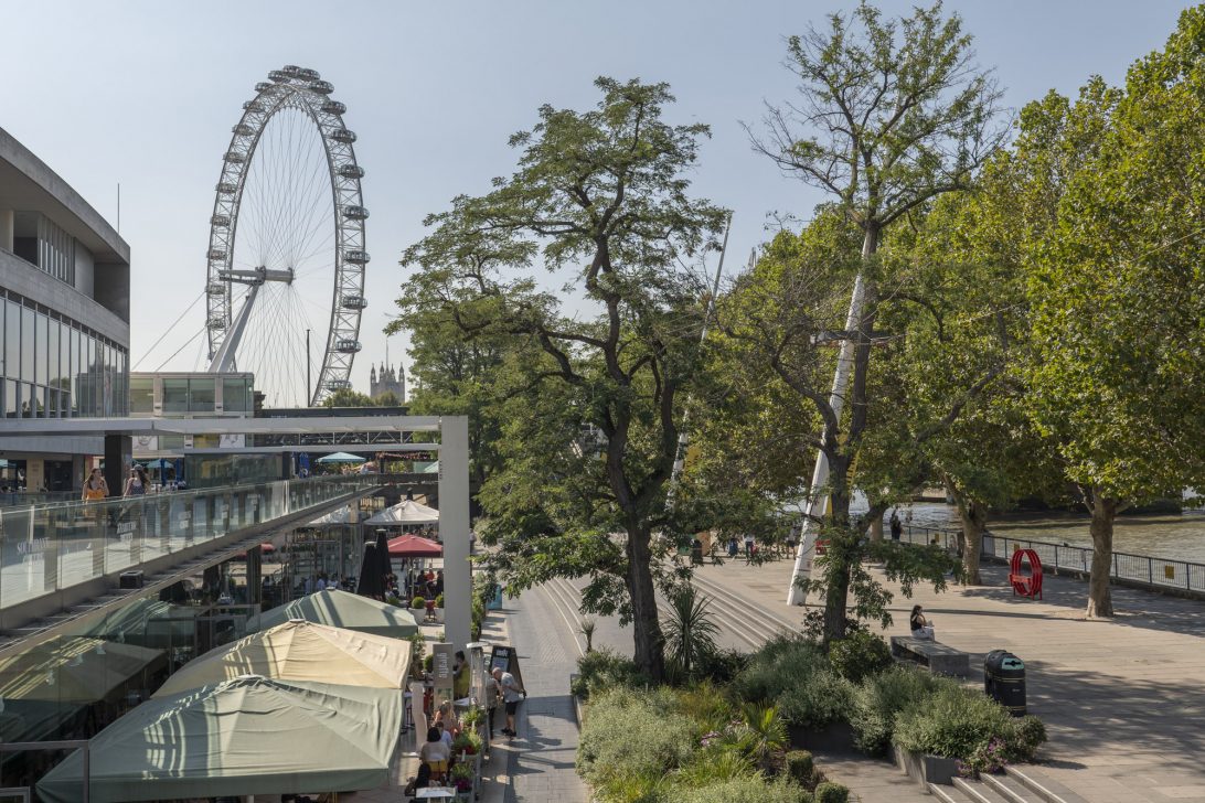 View of the London Eye from the Southbank in London during the day with clear skies