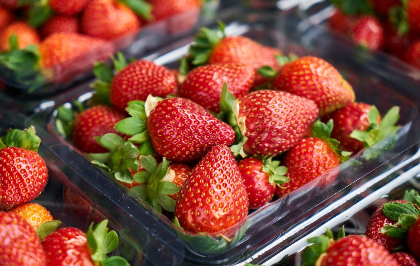 Strawberries in plastic punnet boxes