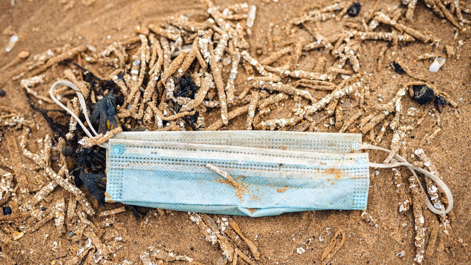 Blue disposable mask washed up on the beach