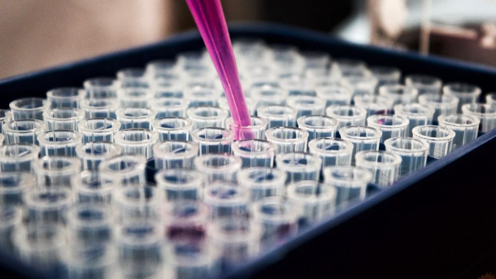 louis-reed-pwcKF7L4-no-unsplash-e1575019942395