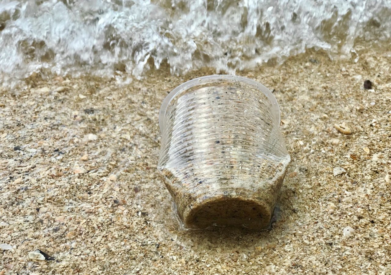 pexels-catherine-sheila-2409025