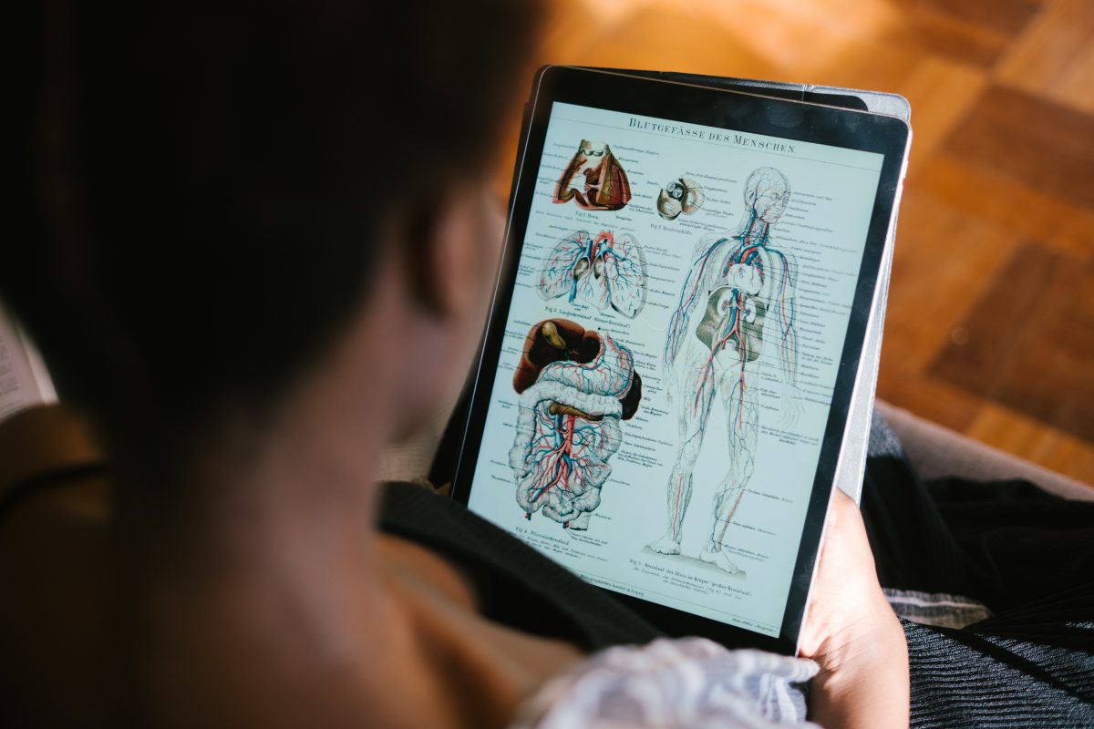 A person with dark skin sits with their back to us, we can see their neck and back of head. They are holding a tablet with a skeleton and human anatomy on it including heart, brain and stomach.