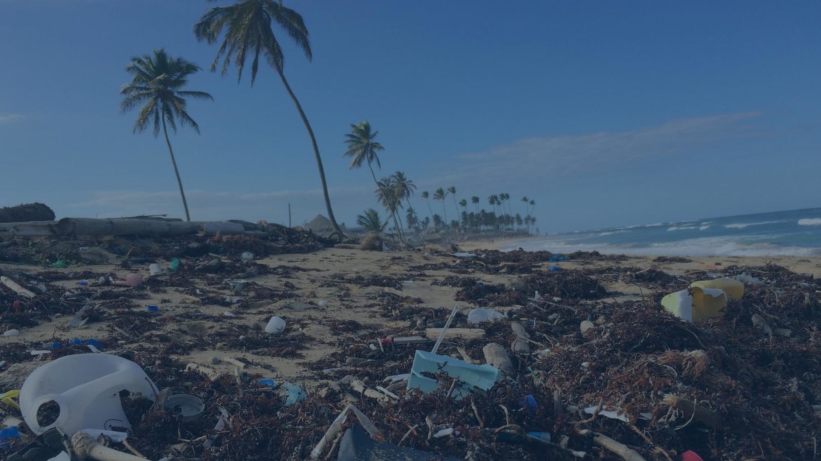 Beach with palm trees covered with plastic waste