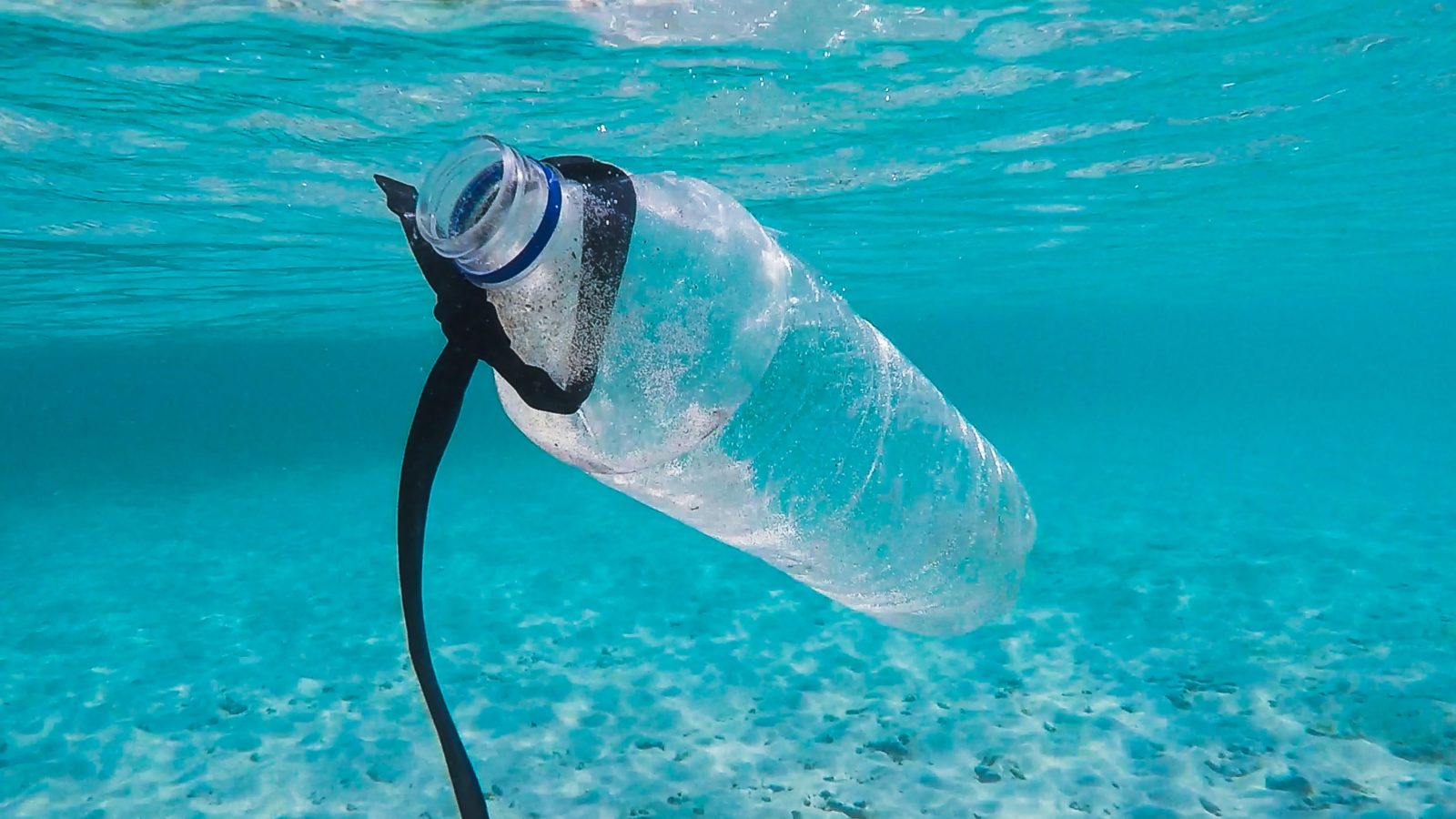 A clear plastic bottle with a black shoe lace tied to it floating in a very clear body of water