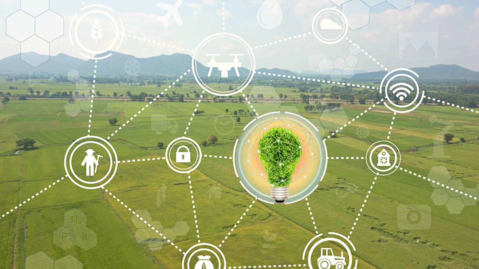 Illustration of agricultural data being used for innovation