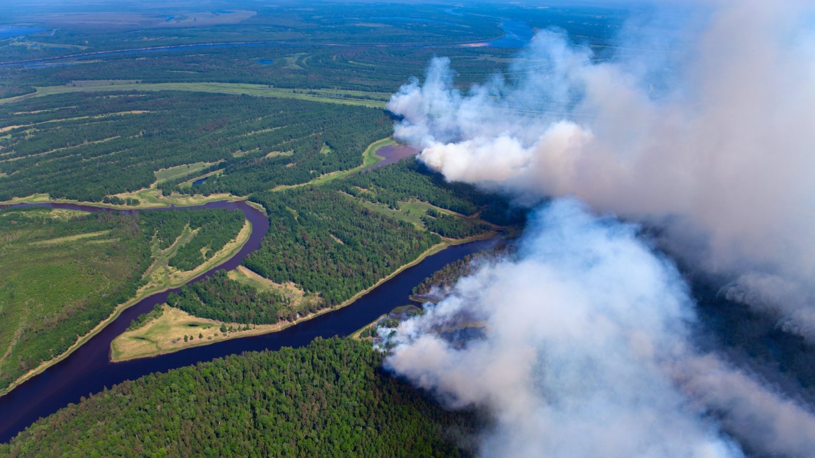 Smoke billowing through dense forest as viewed from above