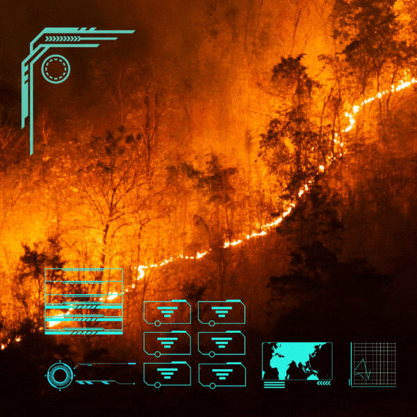 Computer graphics over a scene of intense forest fire