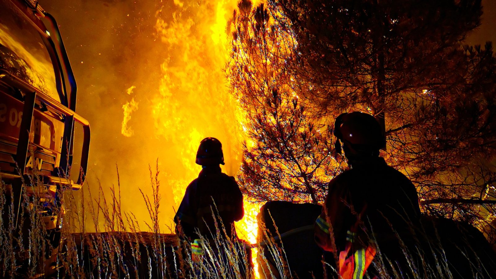 Wildfire burning through trees as two firefighters look on near their appliance engine