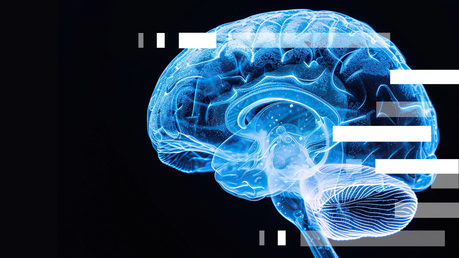 transp-brain-Web-Large-16x9