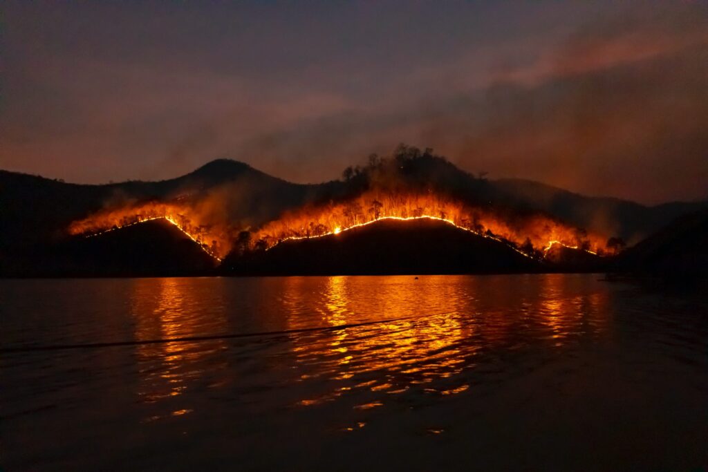 A forest fire burns in the distance reds and oranges and is reflected by water.