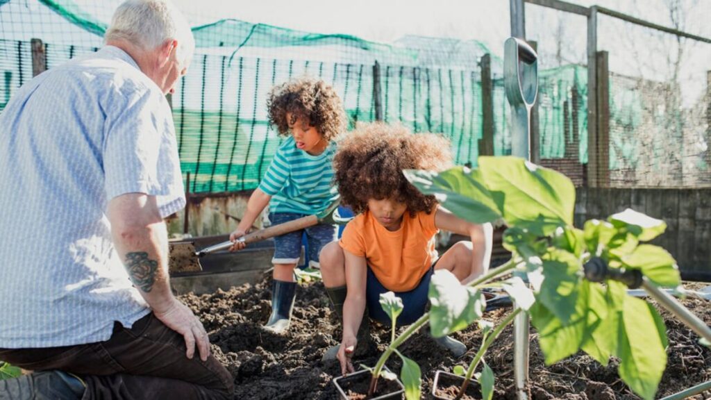 Two young children dig in a flowerbed being supervised by a grandparent