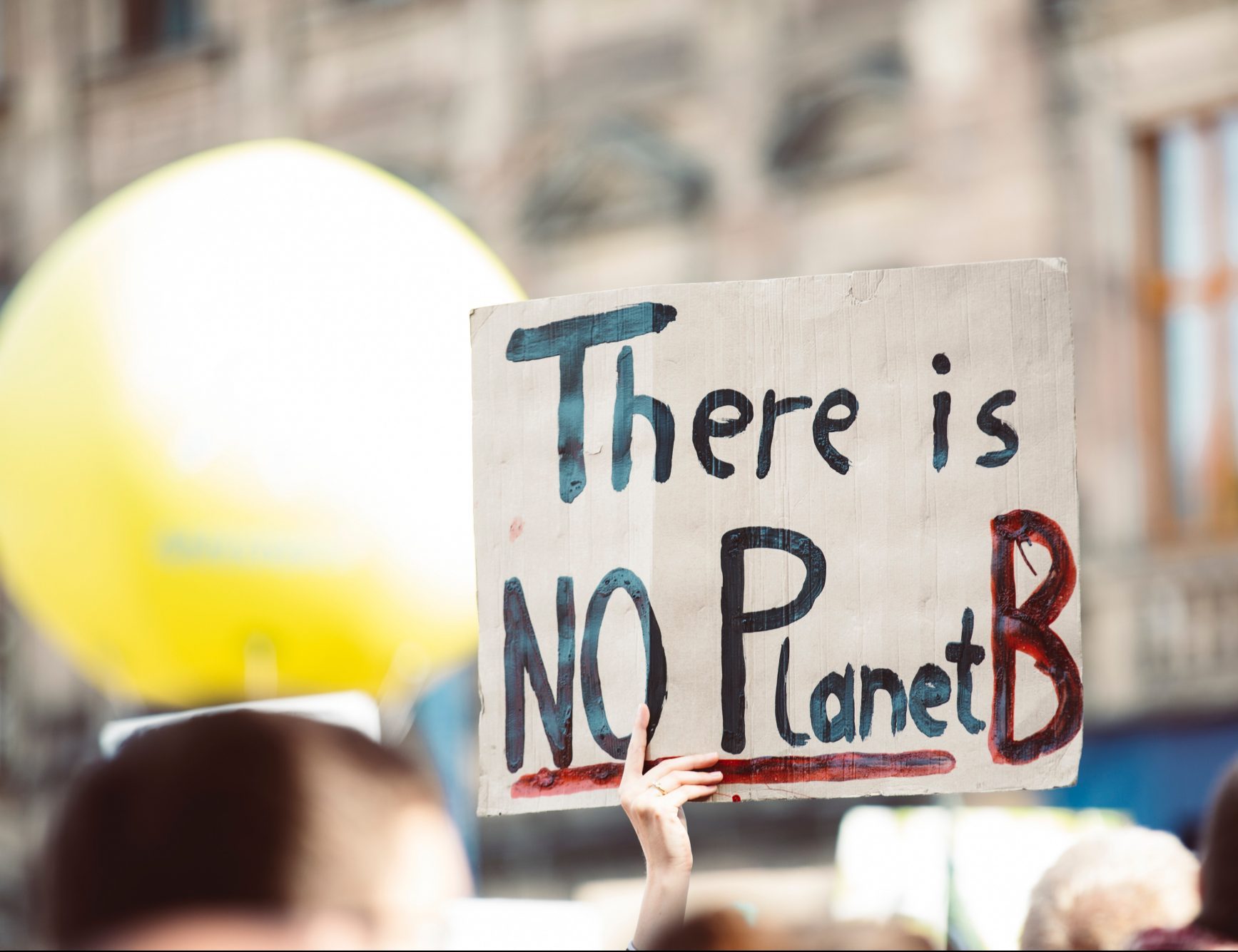 A protest sign that says in black ink "There is NO planet B". B is in red paint.