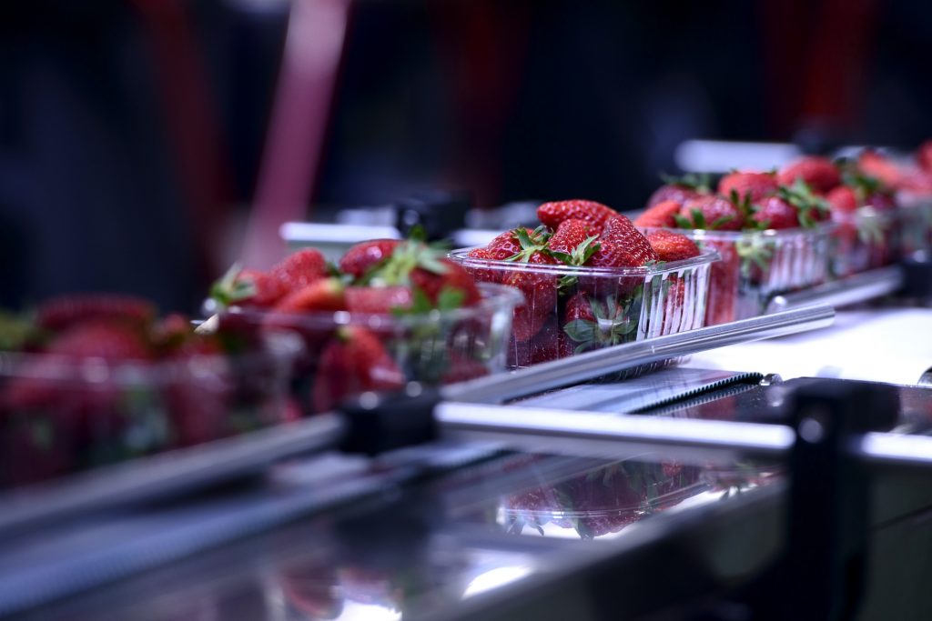 A selection of berries in plastic containers|A ground level shot of a brown soil path through rows of green plants