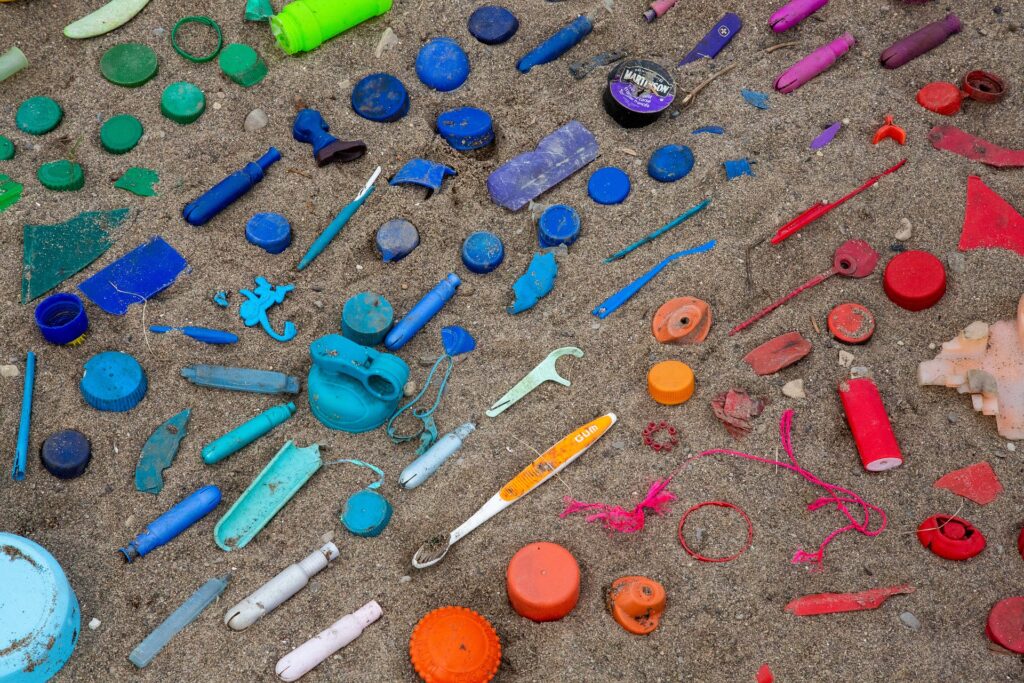 Types of plastic pollution found in the ocean