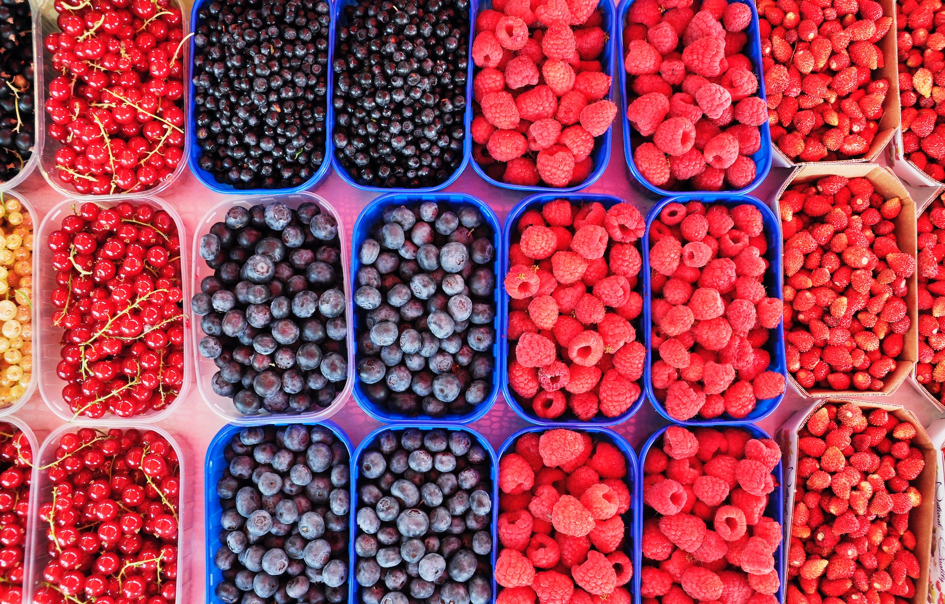 punnets of fresh looking berries