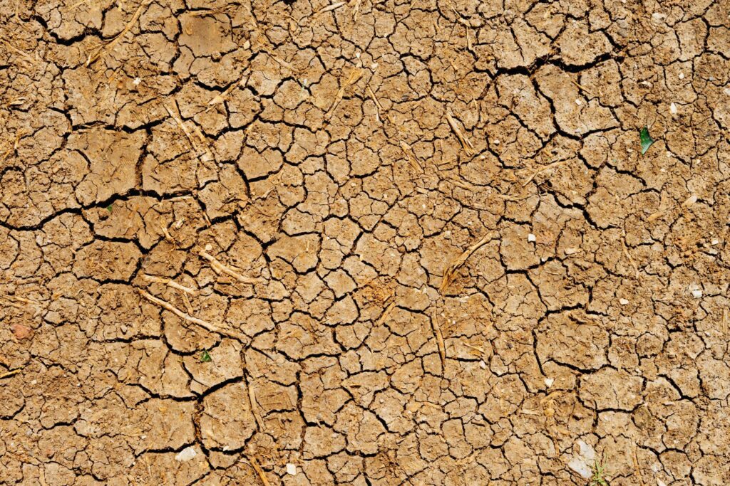 dry land
