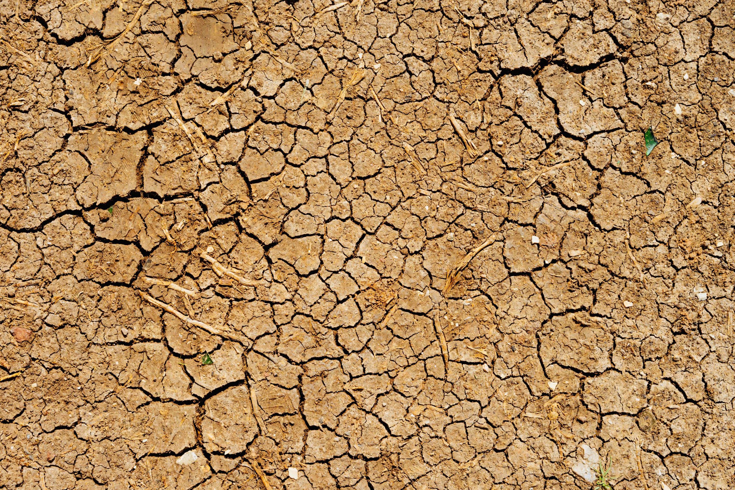 dry land