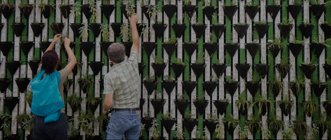 Two people reaching up to place plants on a green wall|Green and brown rolling hills|A group of walkers can be seen in the foreground
