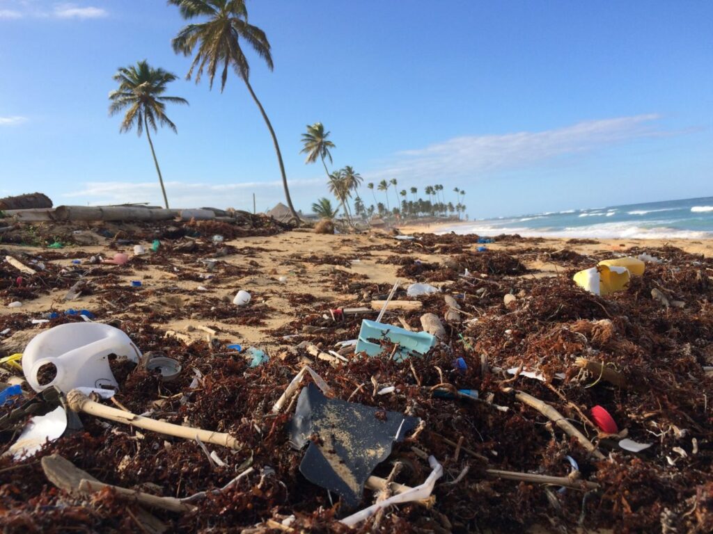 Photo of coconut trees surrounded by plastic waste and rubbish