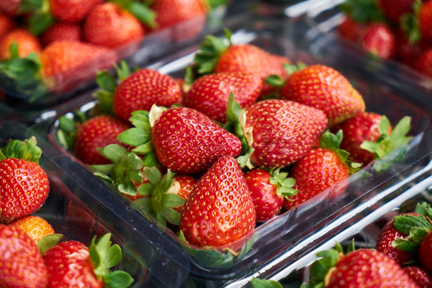 Strawberries in plastic punnet boxes|Weston Family Foundation logo