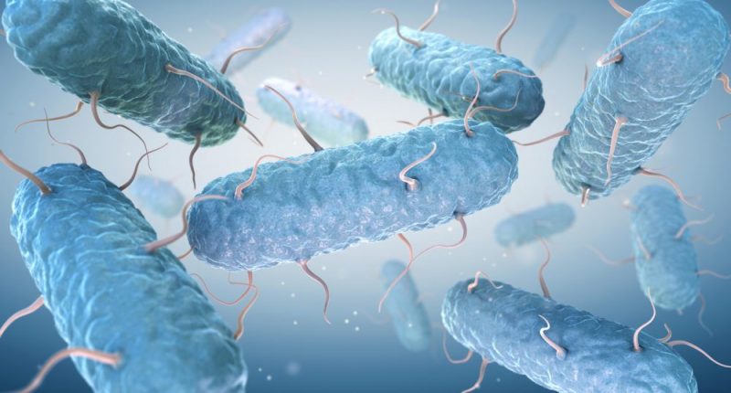 3D illustration of enterobacteria|UKRI Innovate UK logo