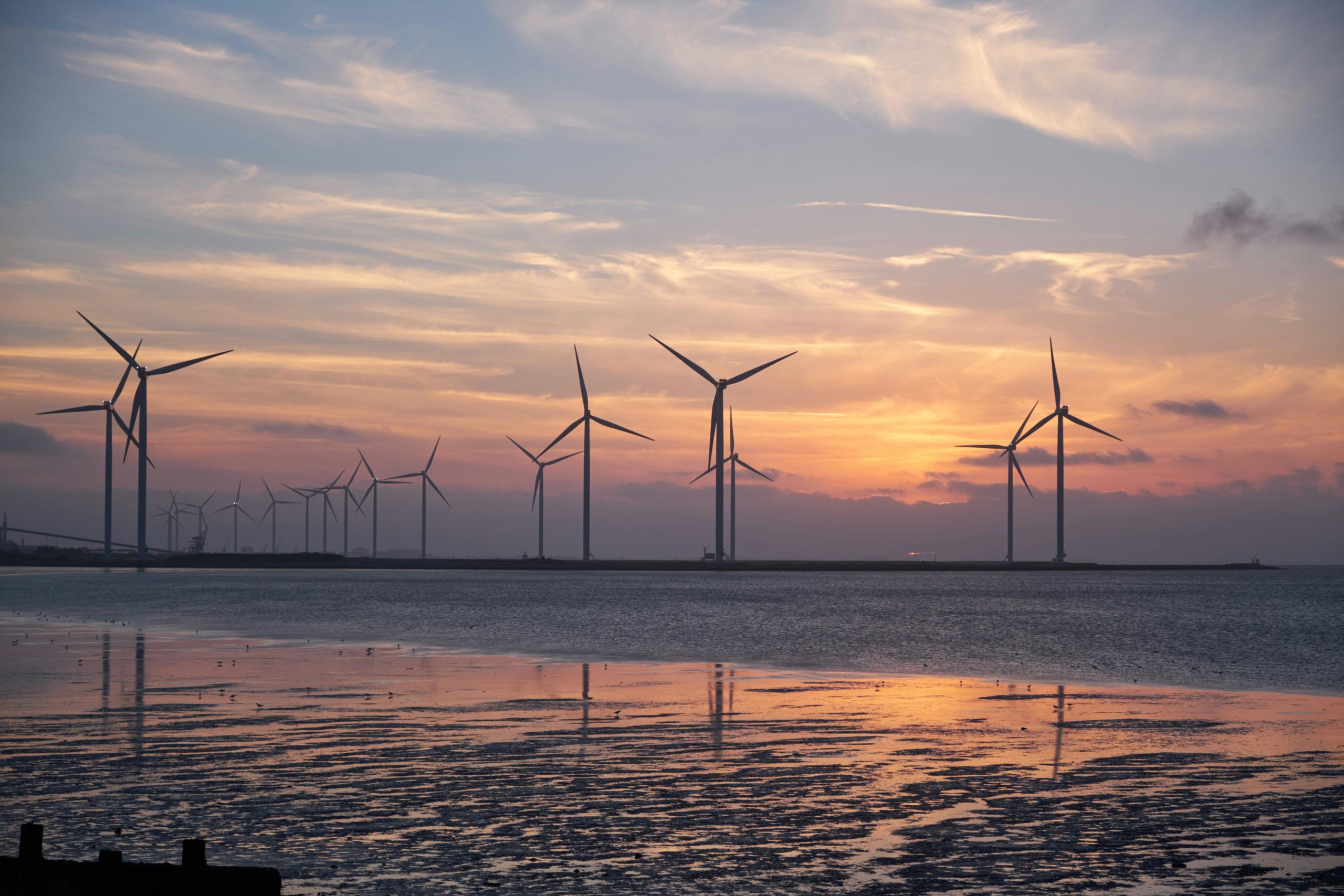 Wind farm in sea